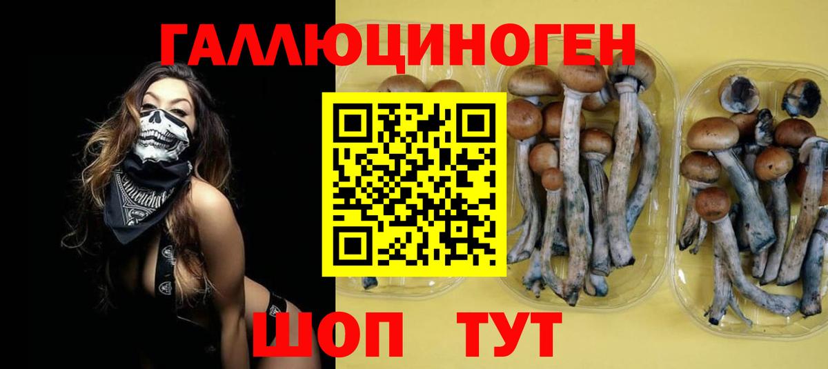 Псилоцибиновые грибы MAGIC MUSHROOMS  Вход с VPN  Чебоксары  Галлюциногенные грибы ЛСД 